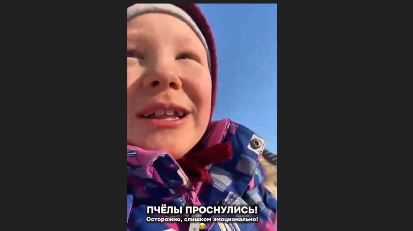 "Мама, пчелы проснулись, но я их не будила!" Видео с маленькой белоруской покорило соцсети