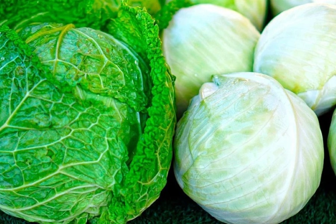 Капуста будет огромной: добавьте в лунку этот простой препарат