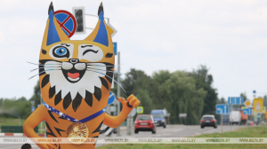 Более 10 развлекательных площадок будет в фан-зонах брестских арен на II Играх стран СНГ