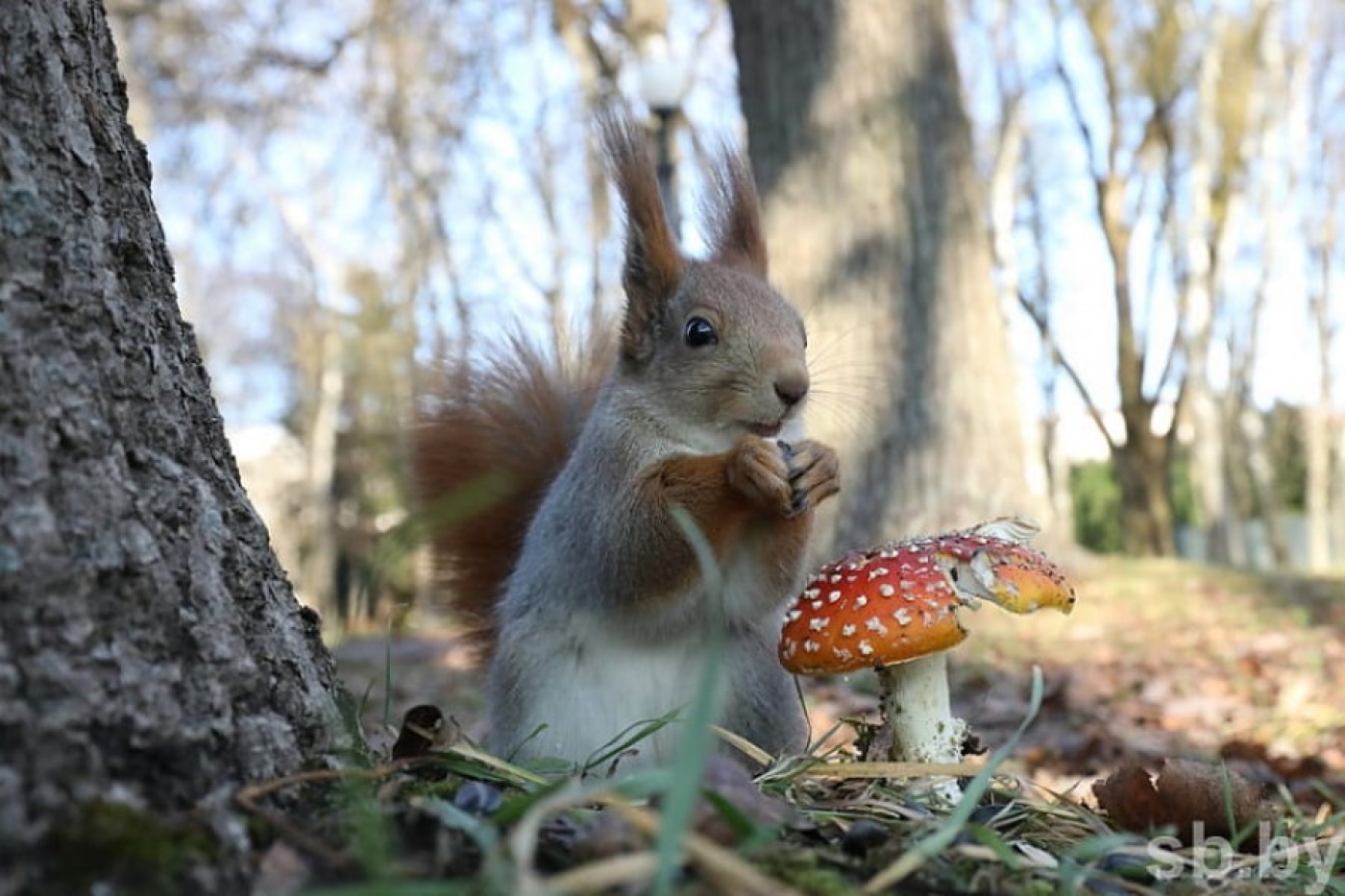 Погода в Беларуси в выходные: небольшие осадки и до +14 °С