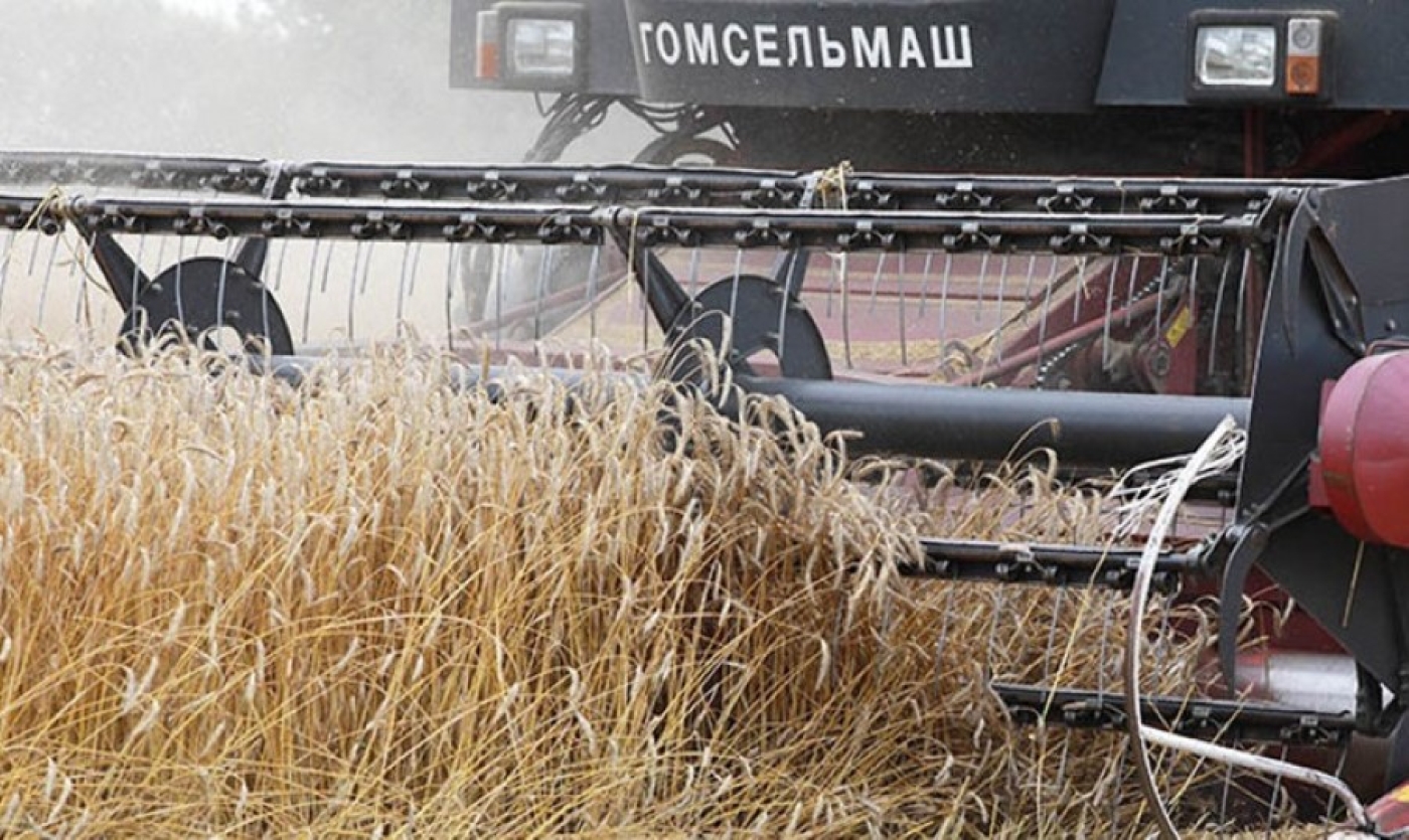 В Беларуси намолотили свыше 11 млн тонн зерна с учетом рапса и кукурузы