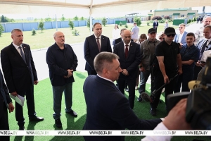 "Топчетесь на месте!" Лукашенко раскритиковал недостаточную динамику по снижению падежа КРС