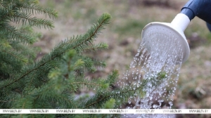 Республиканский субботник проходит сегодня в Беларуси