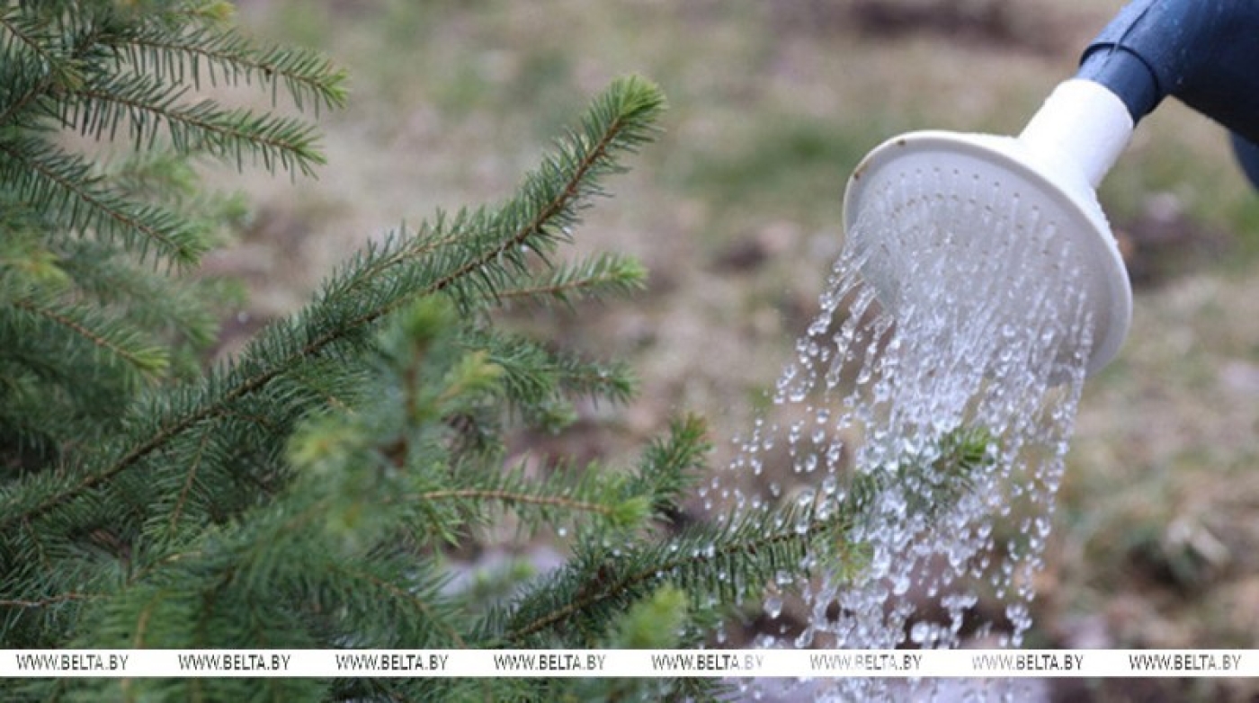 Республиканский субботник проходит сегодня в Беларуси