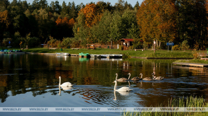 До +16°С ожидается в Беларуси 13 октября