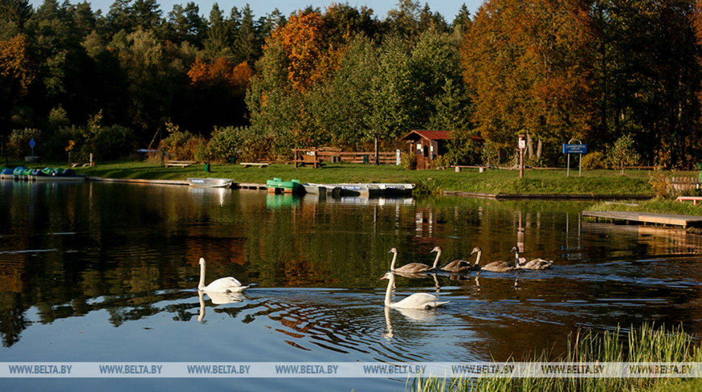 До +16°С ожидается в Беларуси 13 октября