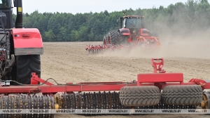"Посев - это искусство". Лукашенко дал дельный совет аграриям