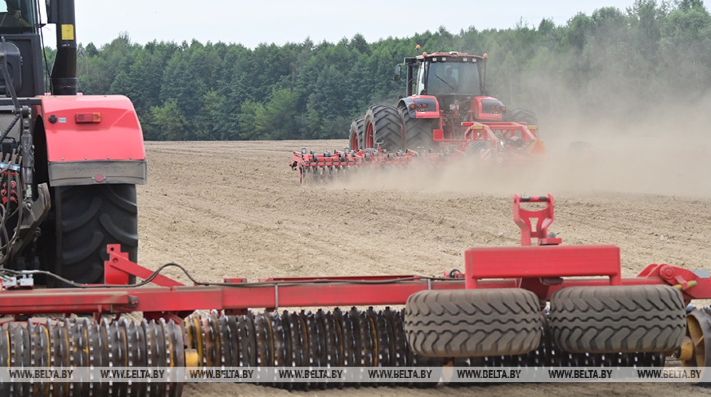 "Посев - это искусство". Лукашенко дал дельный совет аграриям