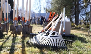 Республиканский субботник пройдет в Беларуси 25 октября