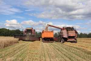 Карта раёна на 15 жніўня