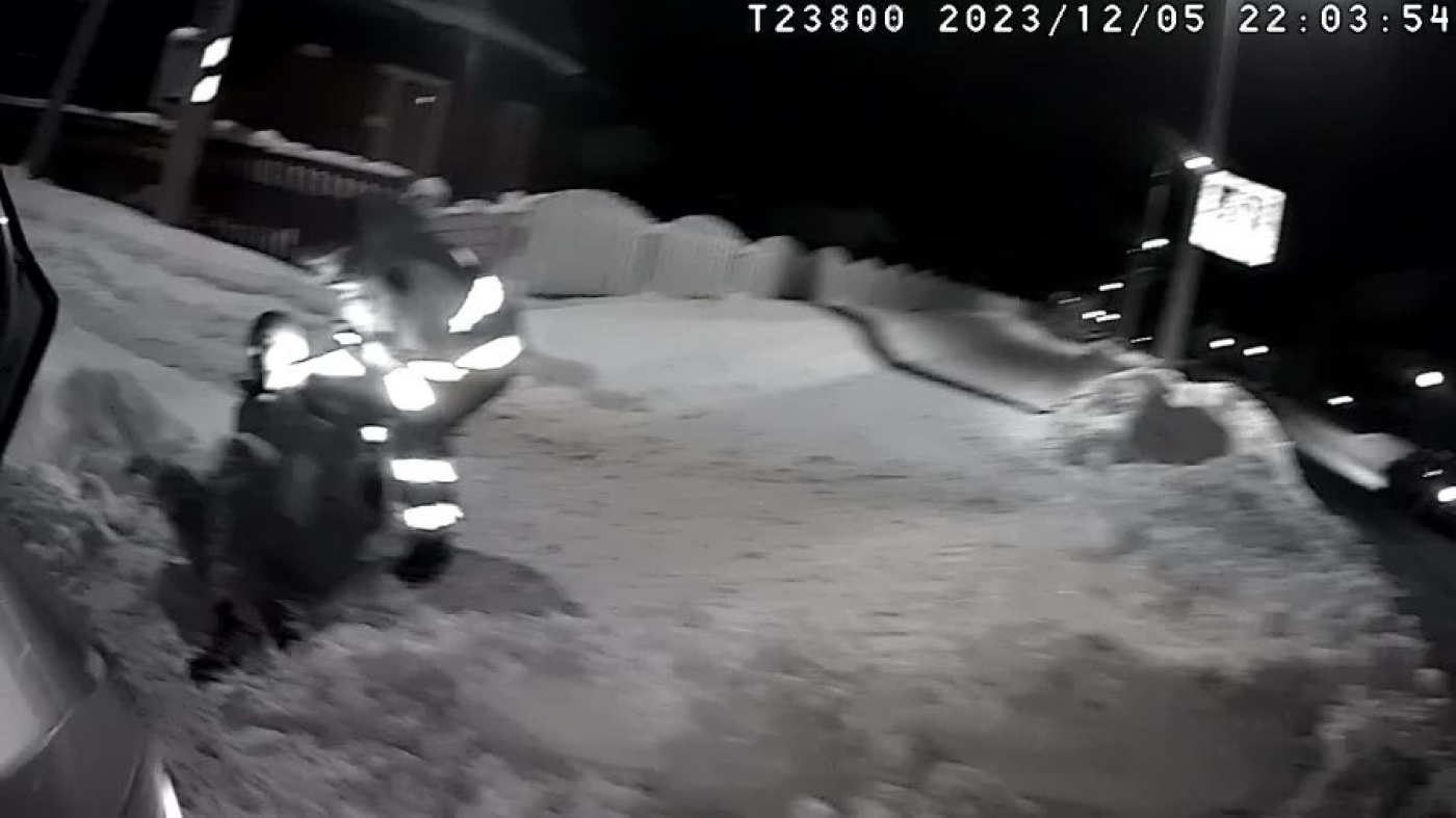 Началась зима, появились первые «подснежники»