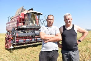 Горячая пора для хлеборобов