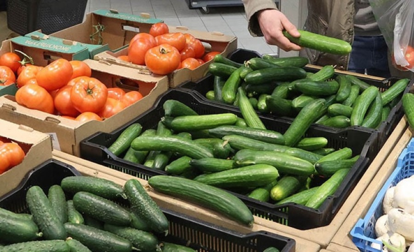 Огурцы и помидоры, молоко и цитрусовые. МАРТ рассказал, какие продукты подешевели в январе