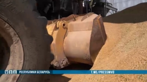 Главный агроном сельхозпредприятия превысила полномочия, испорчено 110 тонн зерна