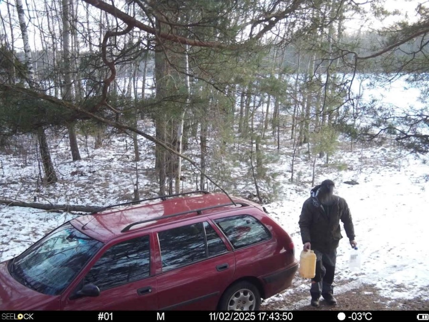 Лесхоз информирует: работают фотоловушки