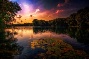 Народные приметы на 12 августа 2025 года: что можно и нельзя делать в этот день