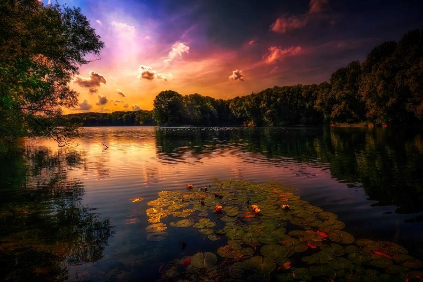 Народные приметы на 12 августа 2025 года: что можно и нельзя делать в этот день