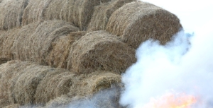 Пожар уничтожил 8 тонн соломы в Березинском районе