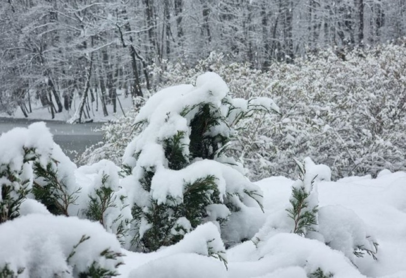 Погода в Беларуси 8 апреля: снег, сильный ветер и до +6 °С