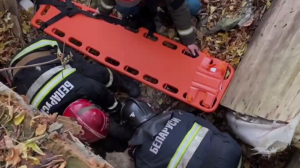 Женщина провалилась в подвал неэксплуатируемого гаража в Борисове