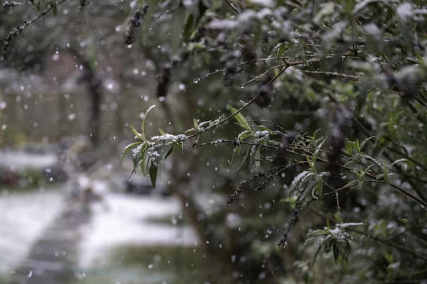Погода в Беларуси 11 декабря: дождь, слабый туман и от 0 °С до +10 °С