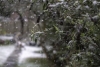 Погода в Беларуси 11 декабря: дождь, слабый туман и от 0 °С до +10 °С