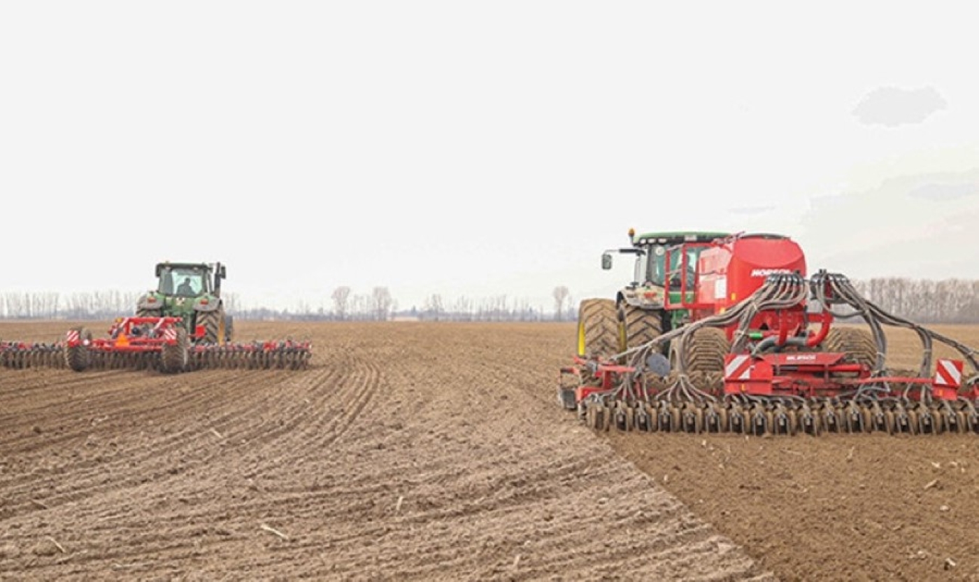 План сева ранних яровых зерновых и зернобобовых в Беларуси выполнен на 22,3%