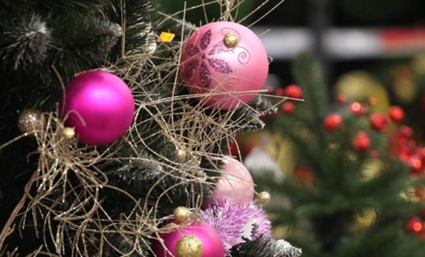 Более 60 новогодних елок установят предприятия ЖКХ в Минской области