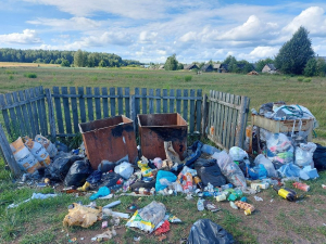 Когда же вывезут мусор?