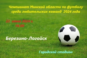 Чемпионат Минской области среди любителей