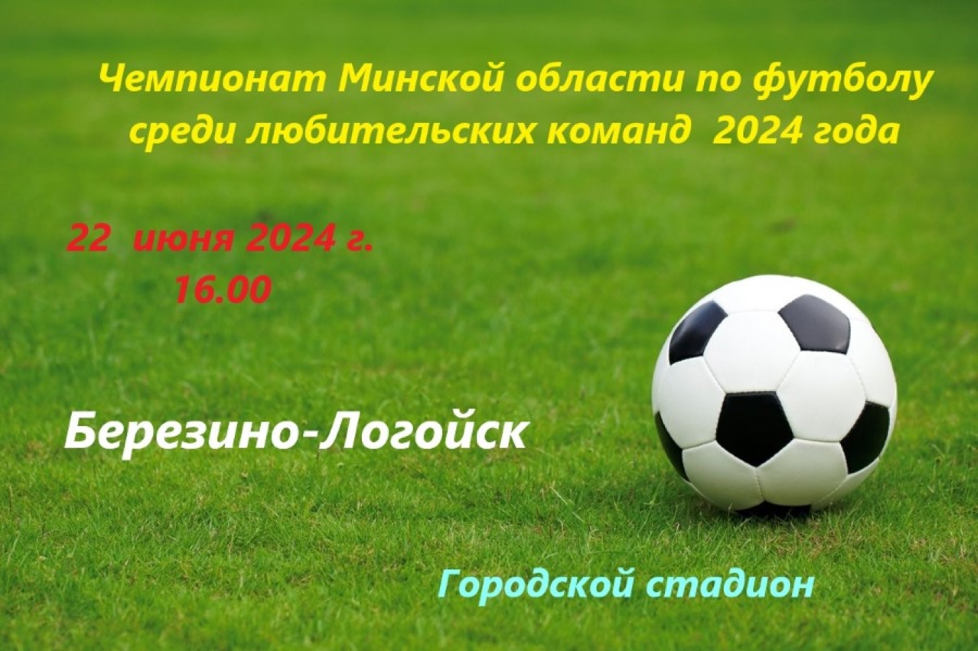 Чемпионат Минской области среди любителей