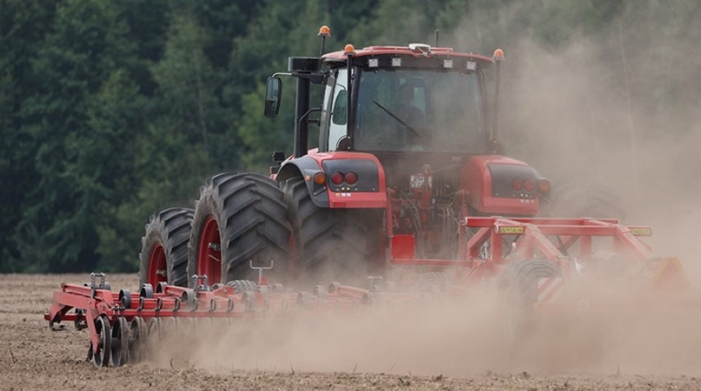 Сев овощей в Беларуси близится к финишу