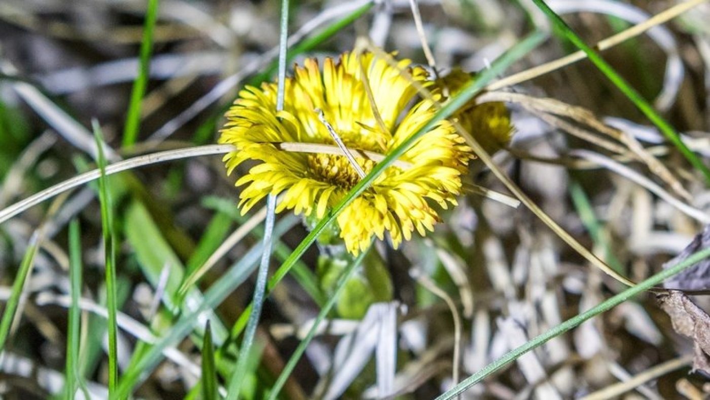 До +25°С ожидается в Беларуси 30 апреля