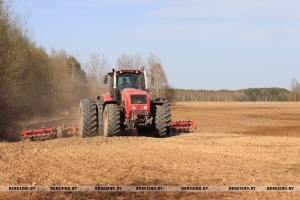 Стаўка – на кармы