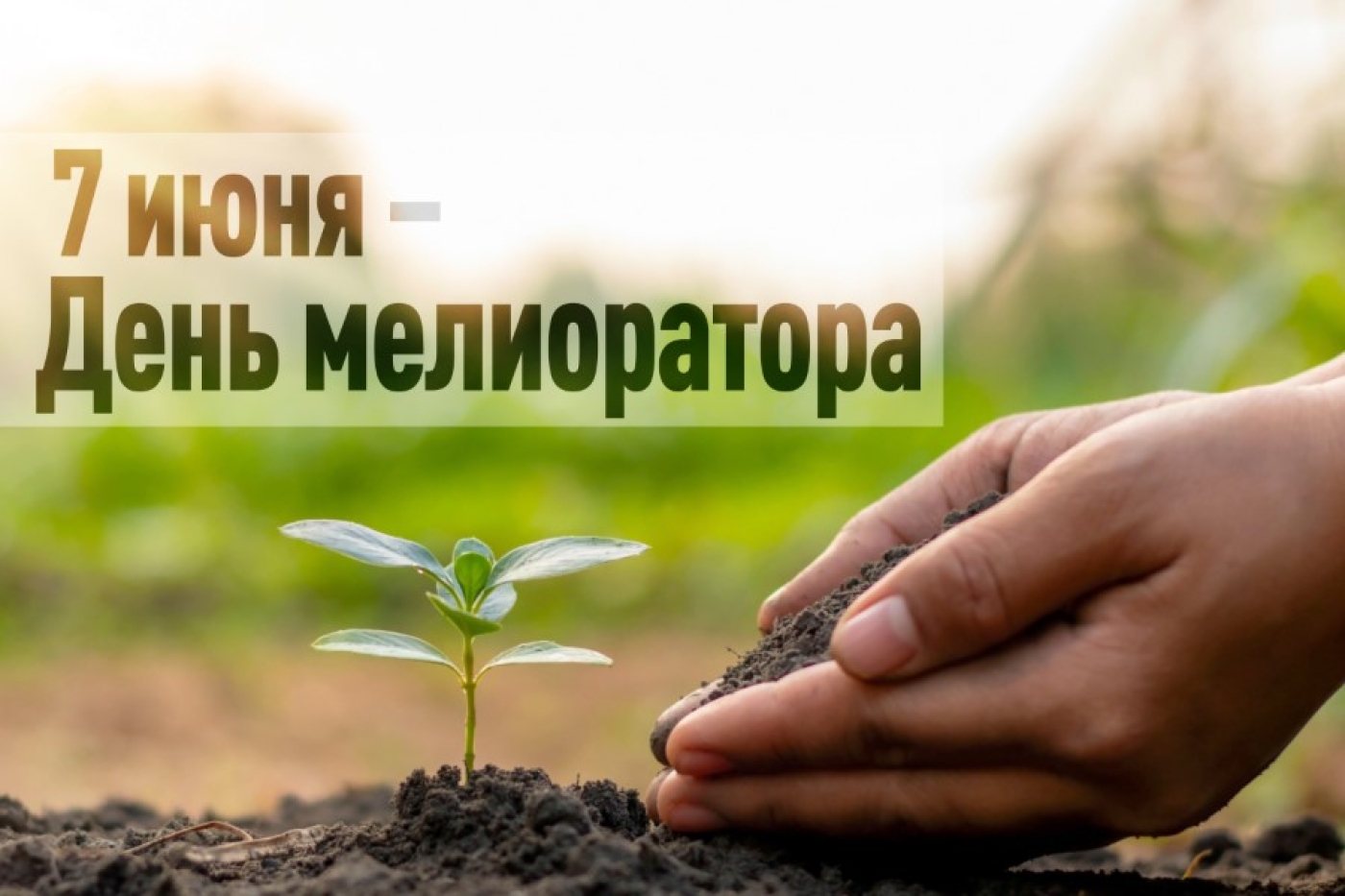 Уважаемые мелиораторы, ветераны отрасли Березинщины!