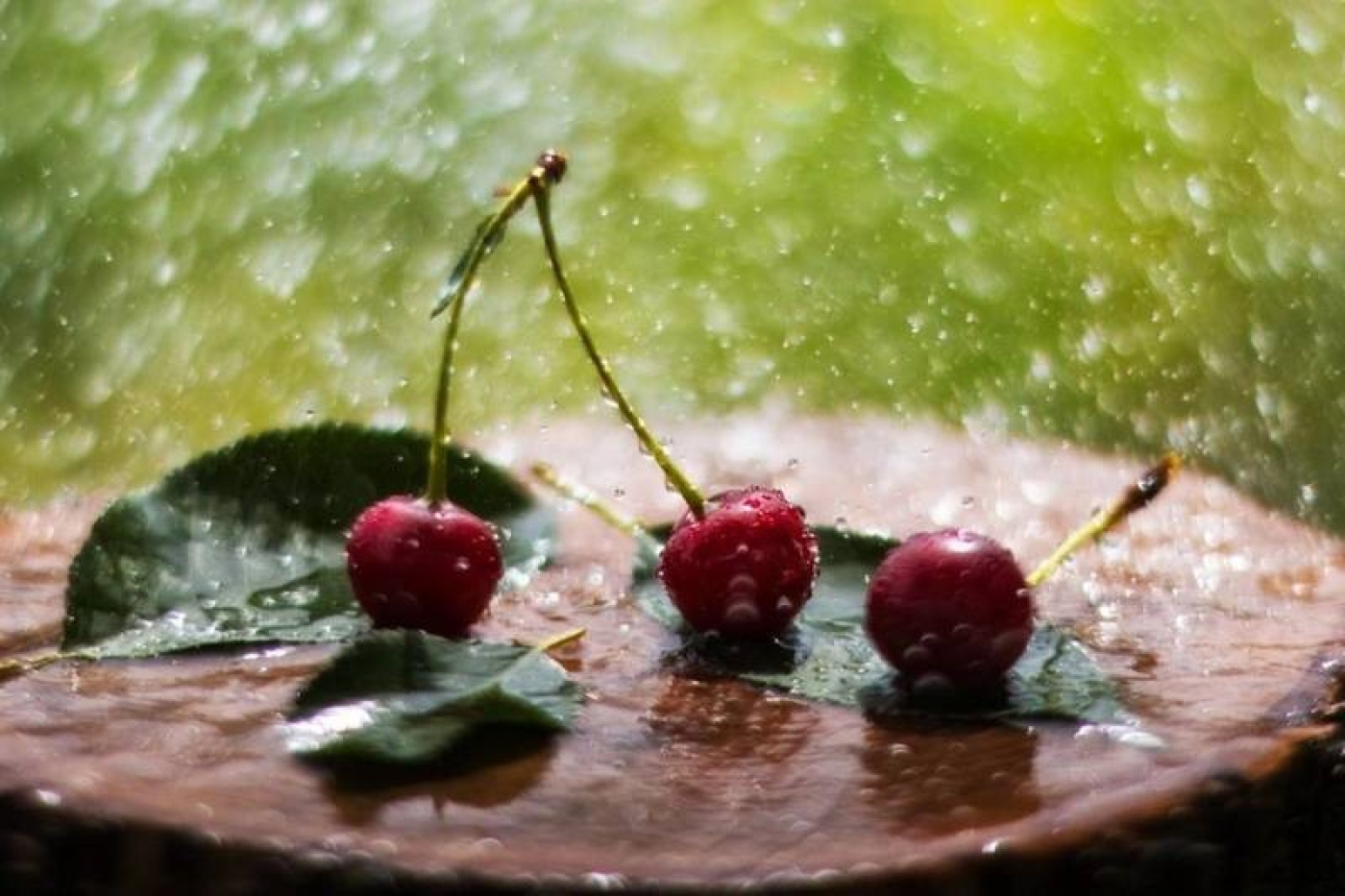 Прогноз погоды на 4 июня: дожди, слабый туман и до +28 °С