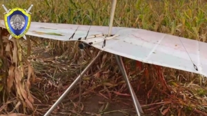 Пилот мотодельтаплана разбился в Светлогорском районе