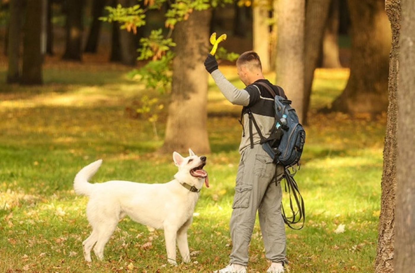 Где нельзя гулять с животными, рассказали в МЖКХ