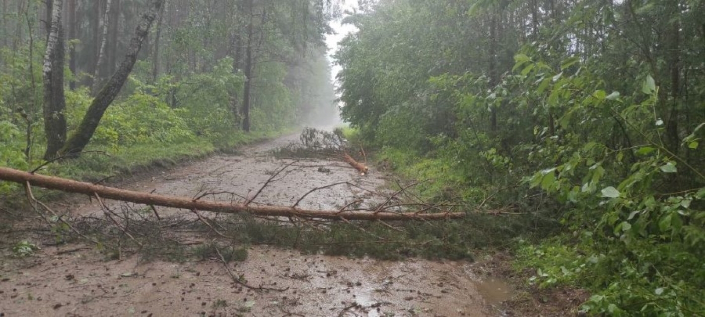 Без электроснабжения из-за последствий непогоды остаются 58 населенных пунктов Минской области