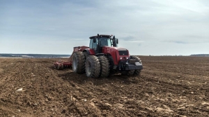 В Беларуси ранние яровые культуры посеяли на 82% площадей