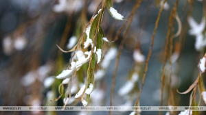 Синоптики рассказали о прогнозе на 2-7 декабря