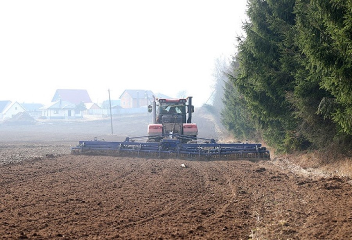 Когда можно будет оценить влияние похолодания на посевы, рассказали в Белгидромете