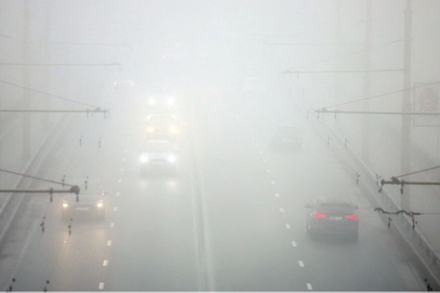 Увеличить дистанцию, включить ближний свет. В МВД напомнили о безопасном вождении в туман