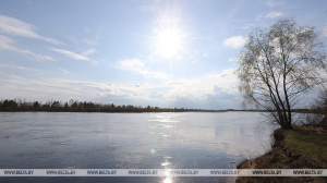 "Рай для ученых, интересно и туристам". Лукашенко требует развивать Полесский заповедник