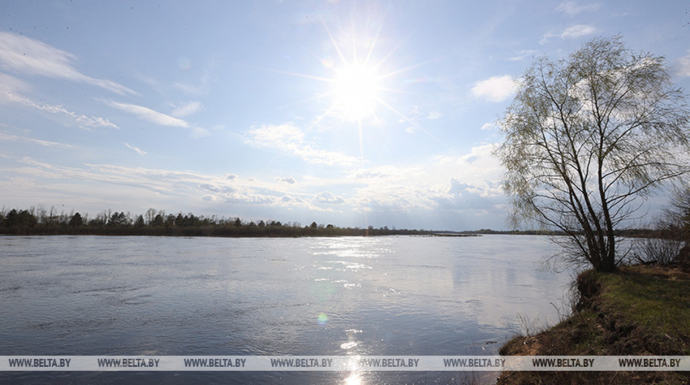 "Рай для ученых, интересно и туристам". Лукашенко требует развивать Полесский заповедник