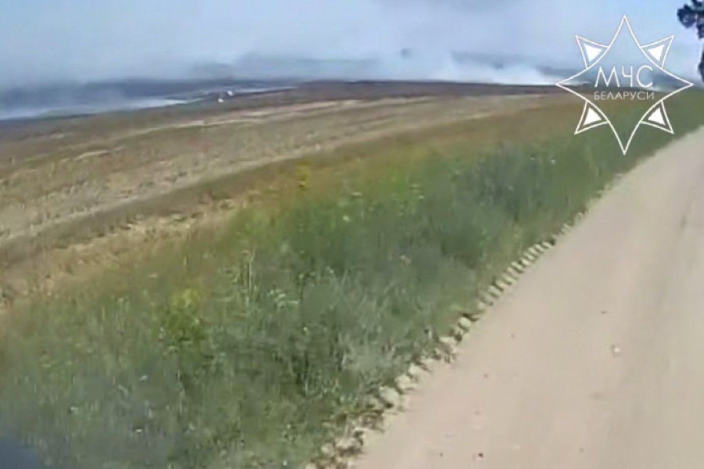 Пожар в поле ликвидировали работники МЧС в Кобринском районе