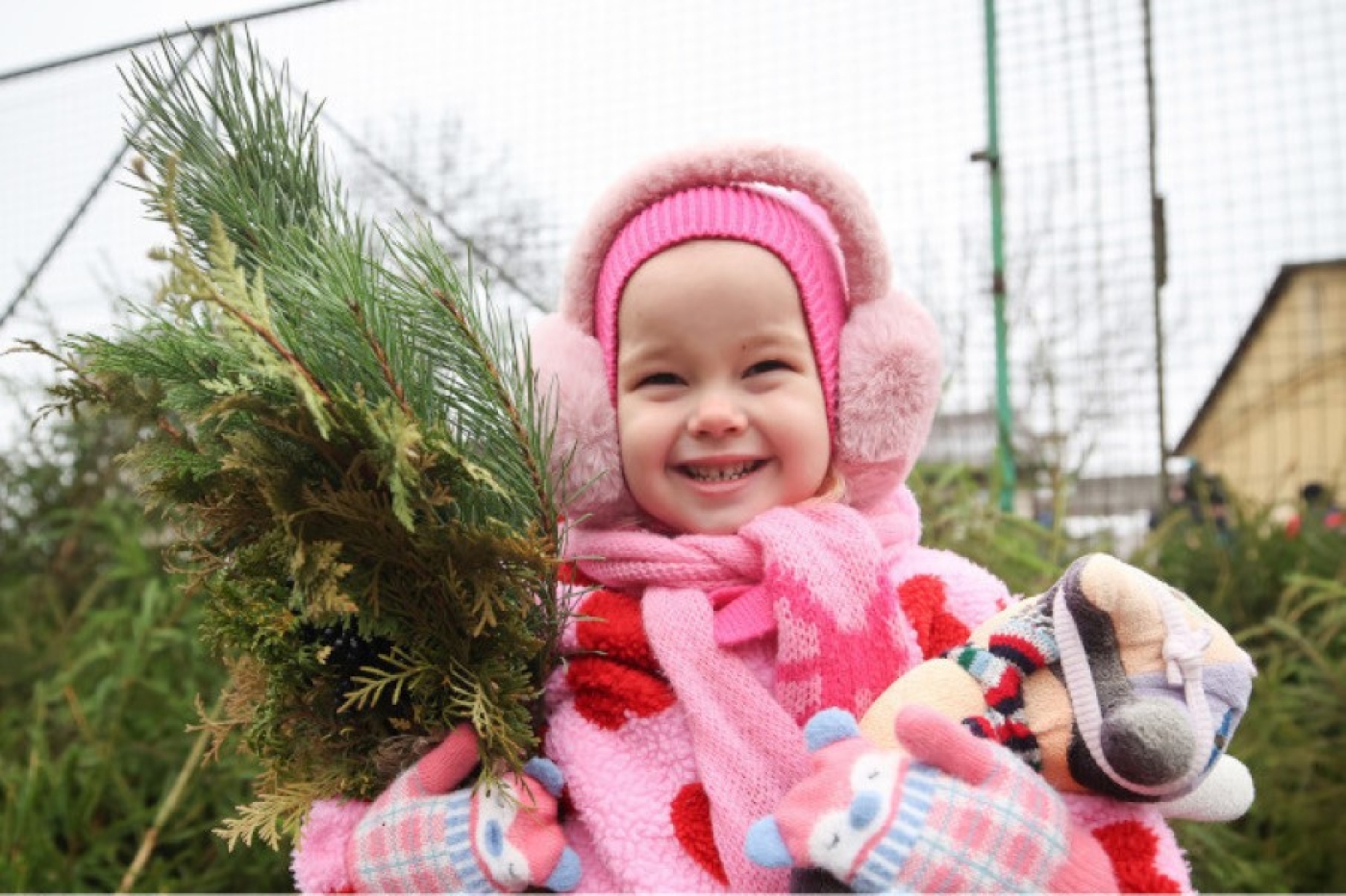 На елочных базарах лесхозов реализовано почти 150 тыс. новогодних деревьев