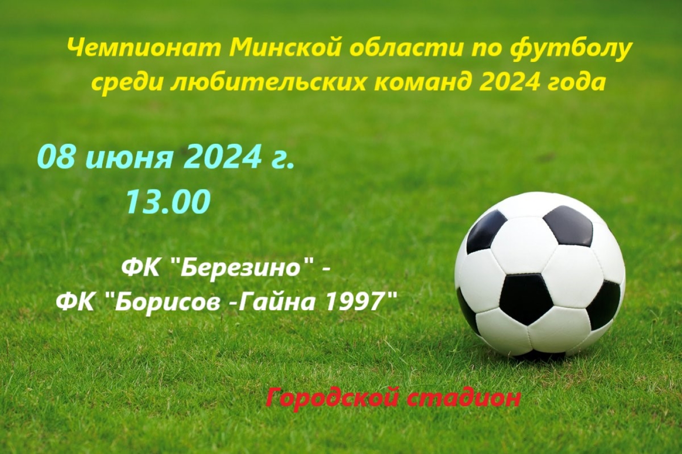 Чемпионат Минской области среди любителей