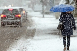 Погода в Беларуси 23 января: дождь, мокрый снег, слабый туман, гололедица и от -3 °С до +4 °С