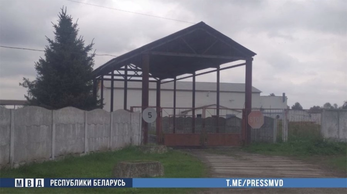 Ущерб - около Br1 млн. Директор сельхозорганизации в Столинском районе поставил товар без предоплаты